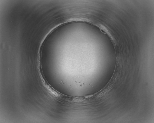 X0000073711140200608241436