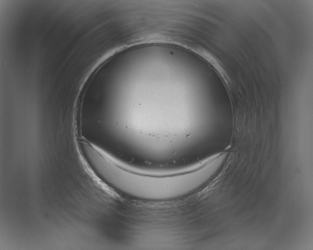 X0000073711142200608241436