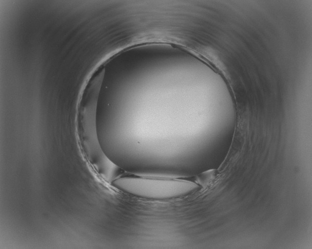 X0000073711144200608241436