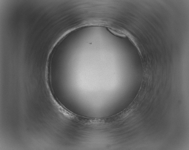 X0000073711147200608241436