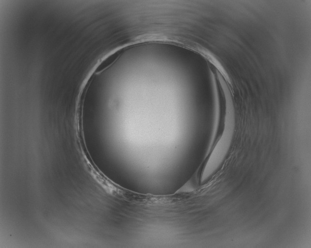 X0000073711148200608241436