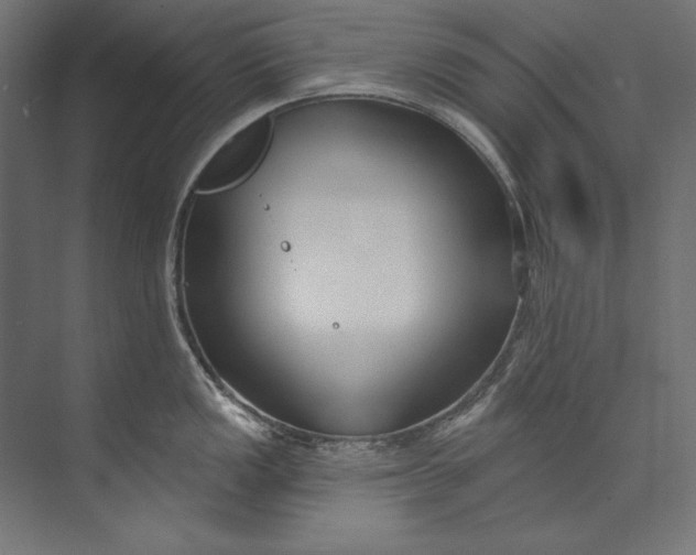 X0000073711149200608241436