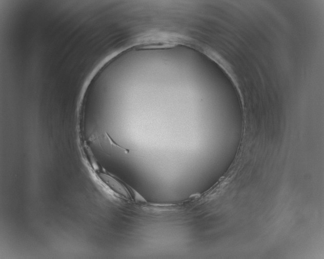 X0000073711152200608241436