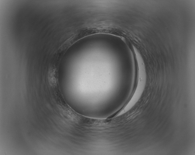 X0000073711156200608241435