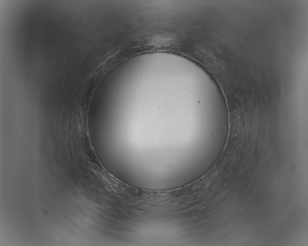 X0000073711158200608241435