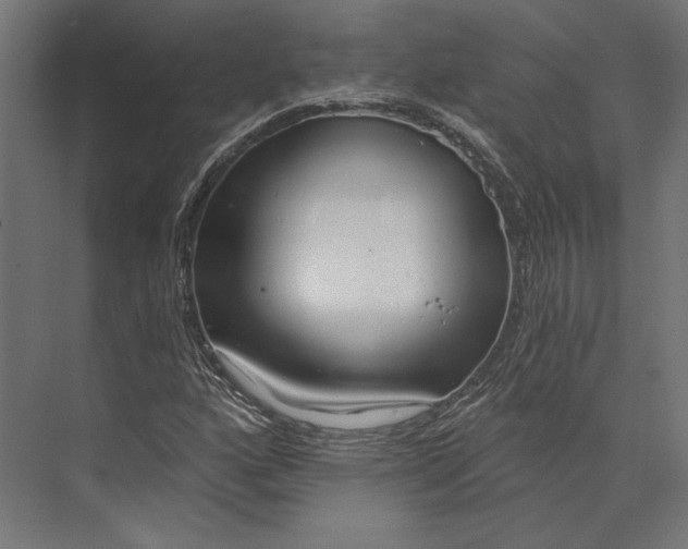 X0000073711160200608241435