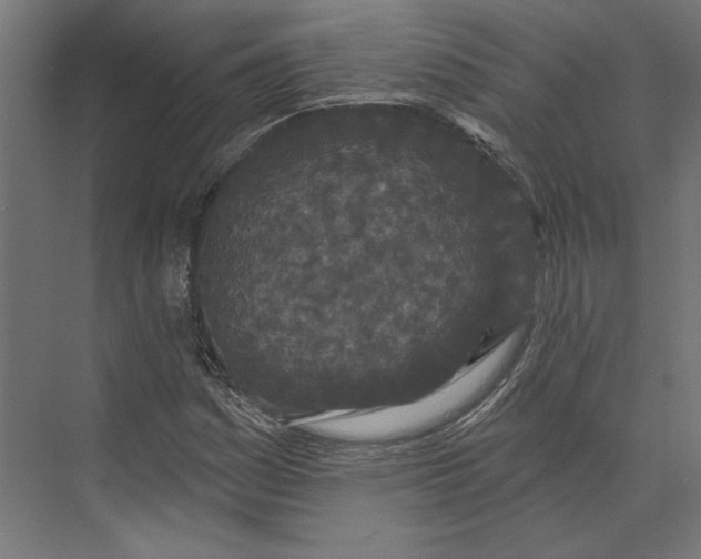 X0000073711161200608241435