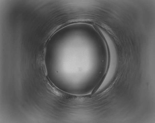 X0000073711177200608241435