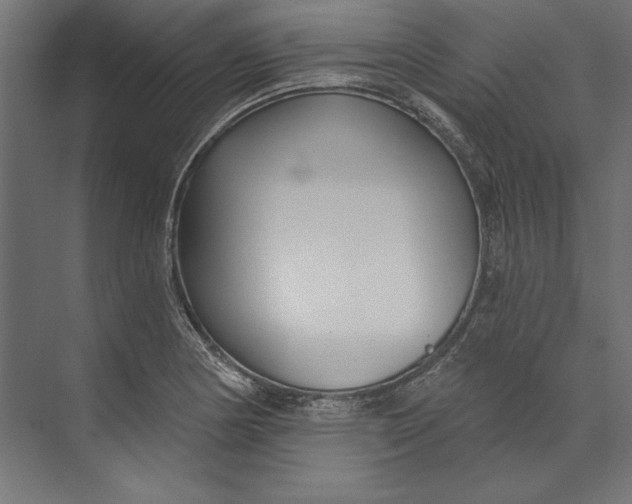 X0000073711178200608241435