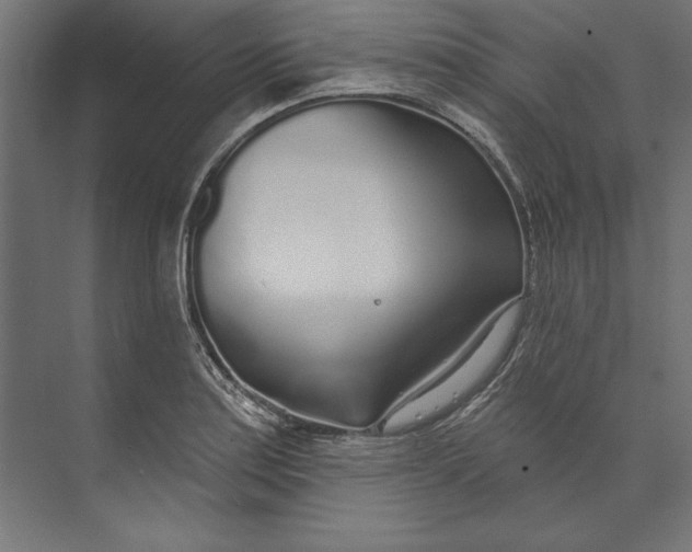 X0000073711179200608241435