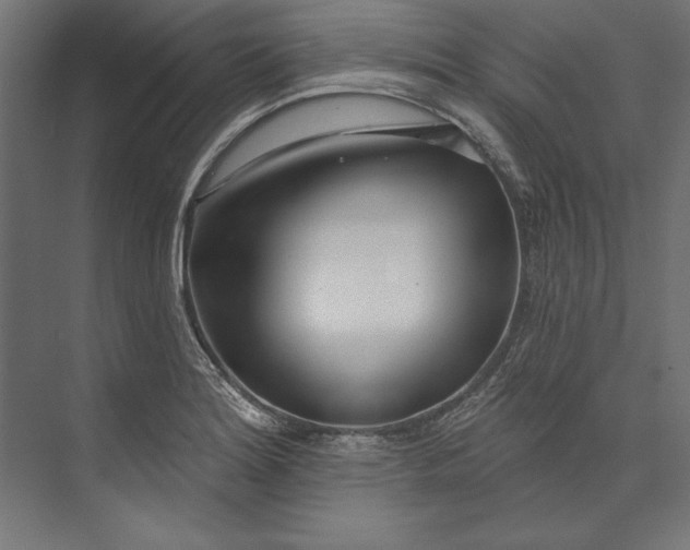 X0000073711180200608241435