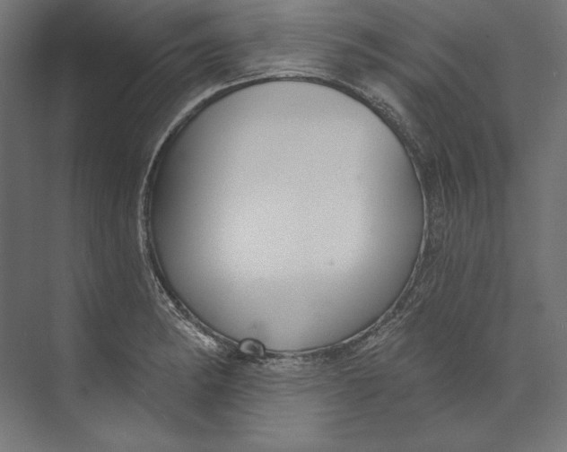 X0000073711182200608241435