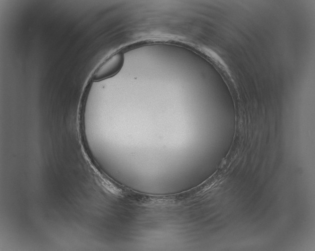 X0000073711183200608241435