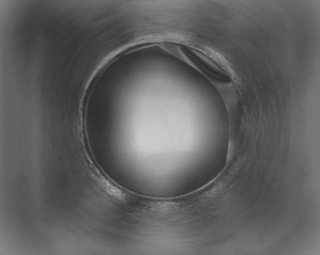 X0000073711184200608241435