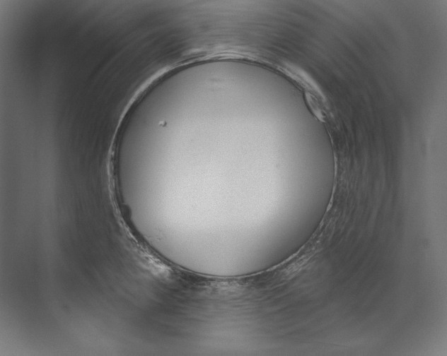 X0000073711190200608241435