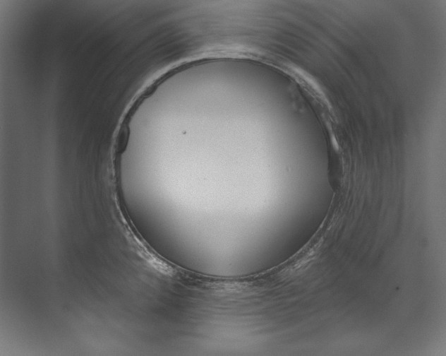 X0000073711192200608241435