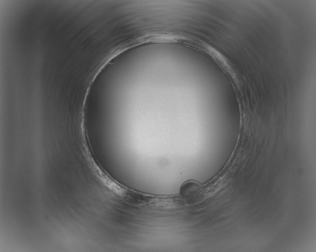 X0000073711194200608241435