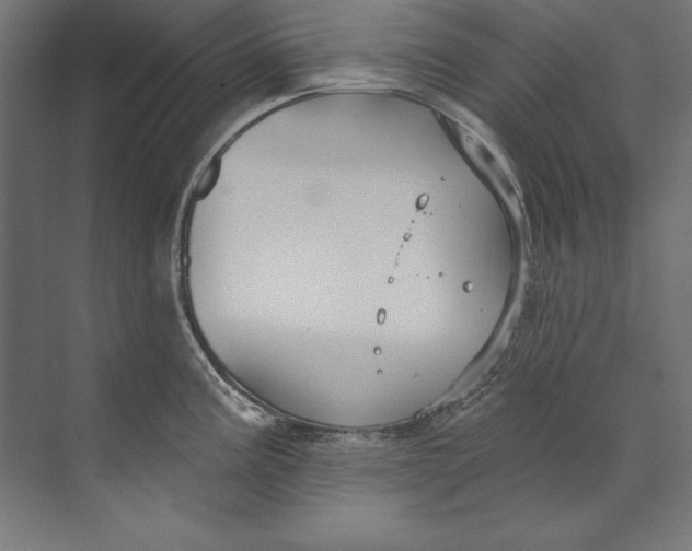 X0000073711195200608241435