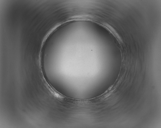 X0000073711196200608241435