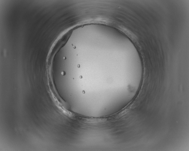 X0000073711200200608241435