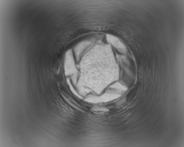 X0000073711202200608241434