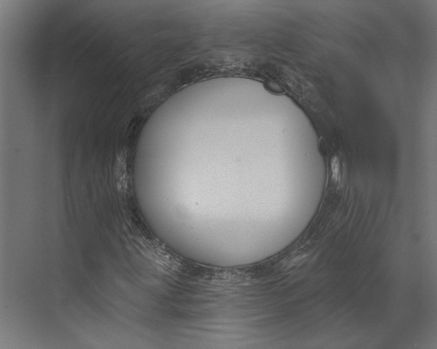 X0000073711203200608241434