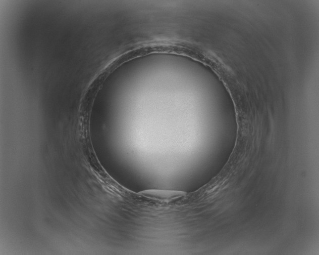 X0000073711208200608241434