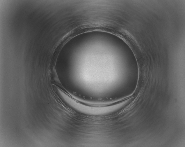 X0000073711210200608241434