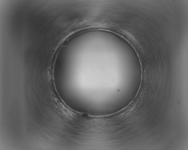 X0000073711212200608241434