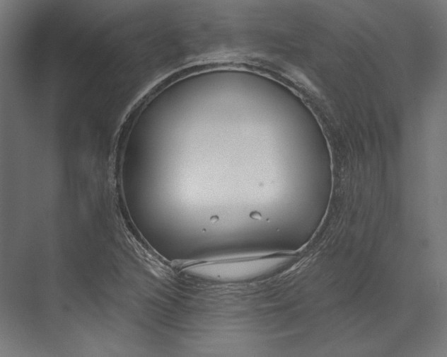 X0000073711216200608241434