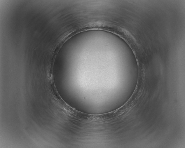 X0000073711217200608241434