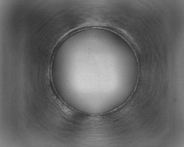 X0000073711220200608241434