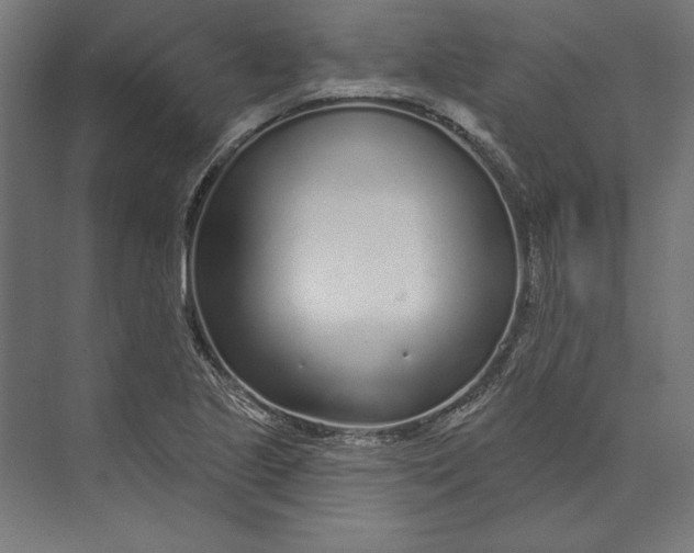 X0000073711221200608241434