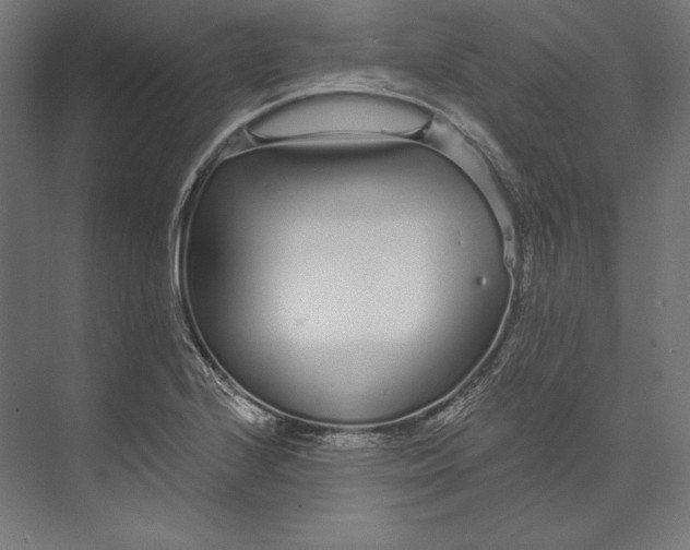 X0000073711224200608241434