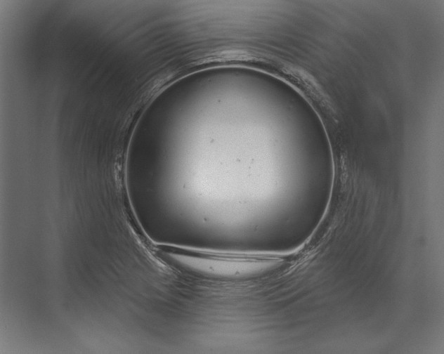 X0000073711225200608241434