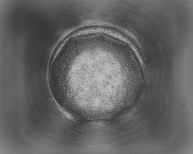 X0000073711231200608241434