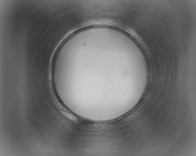 X0000073711232200608241434