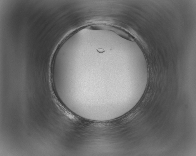 X0000073711240200608241435