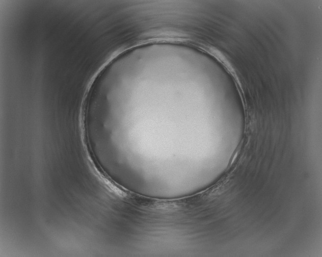 X0000073711243200608241435