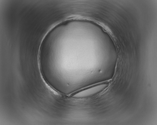 X0000073711247200608241435