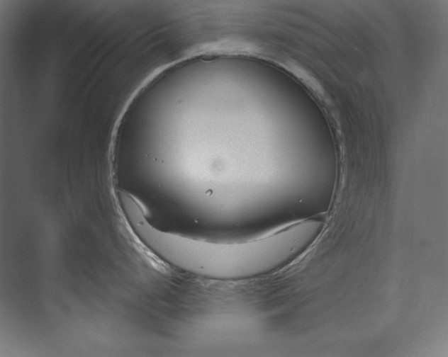 X0000073711248200608241435