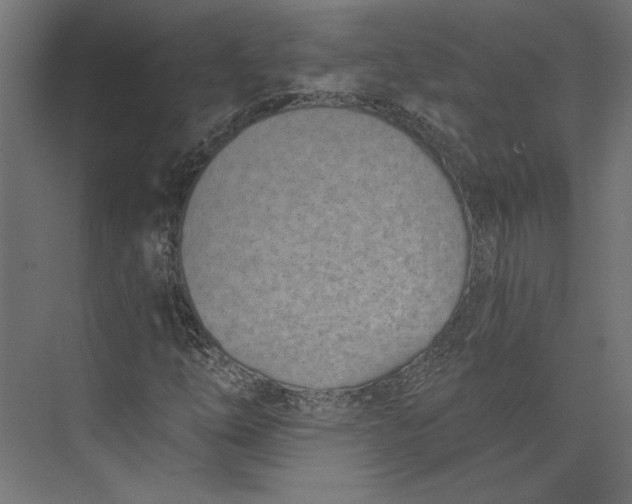 X0000073711254200608241434