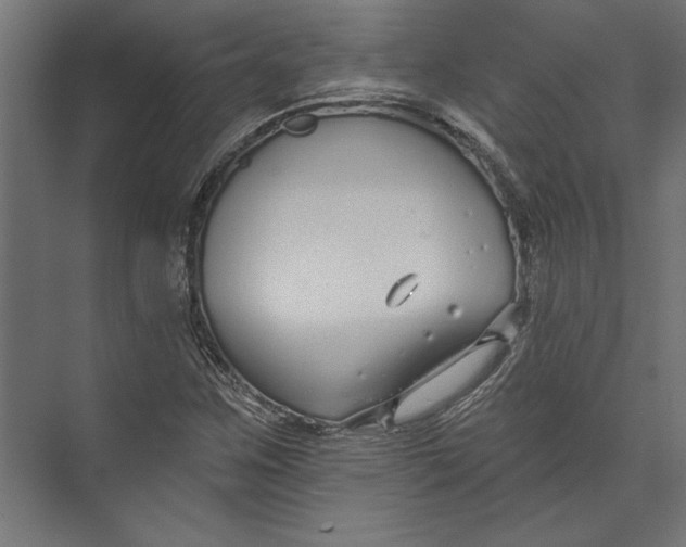 X0000073711259200608241434