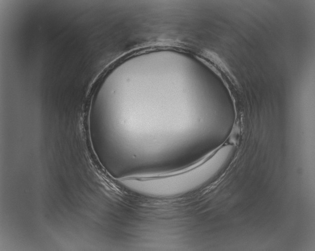 X0000073711260200608241434