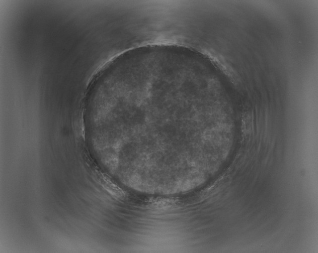 X0000073711262200608241434