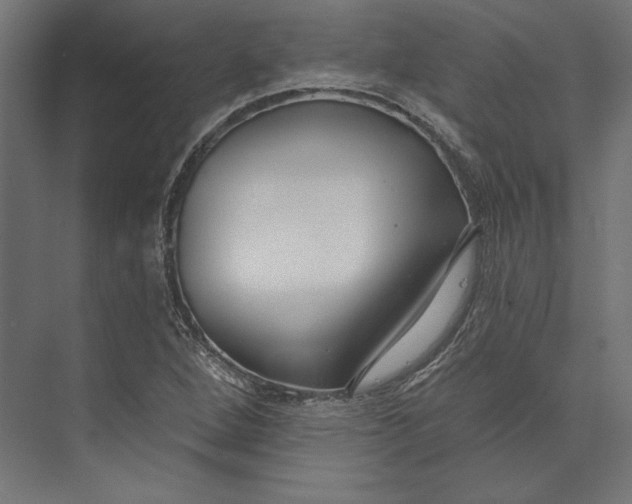 X0000073711264200608241434