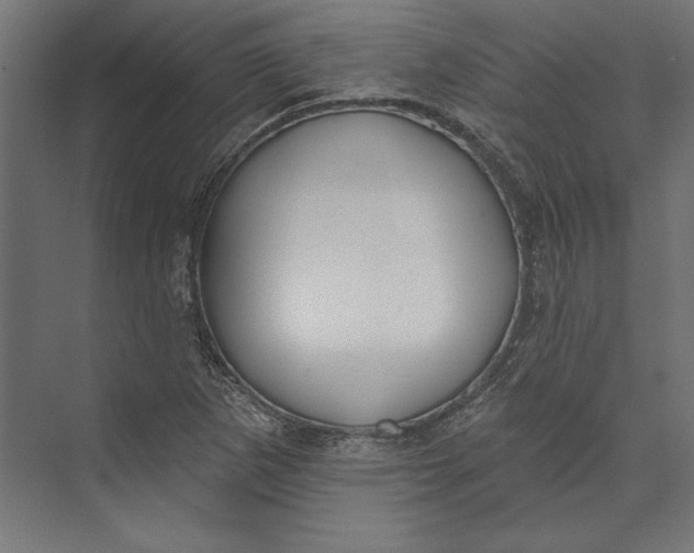 X0000073711265200608241434