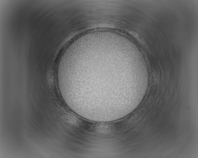 X0000073711266200608241434