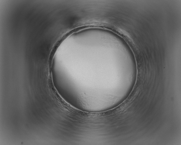 X0000073711267200608241434