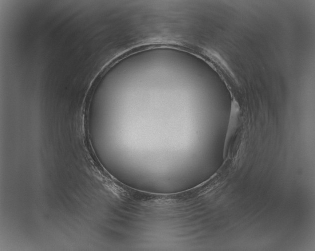 X0000073711268200608241434